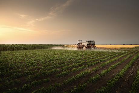 Tractor spraying vegetable field Adobe Stock