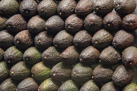 Rows of Hass avocados Adobe Stock