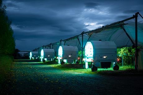 Thorvalds about to do UV-C treatment at Seaton, Scotland Fotocredit_ Kristoffer Skarsgaard