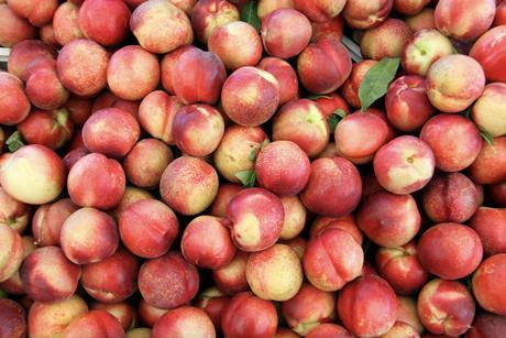 Organic nectarines Adobe Stock