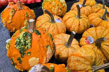 Coles Mini Wart pumpkin