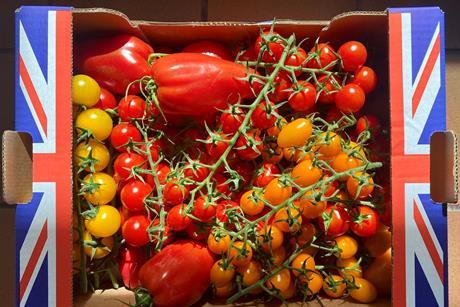 British tomatoes in box