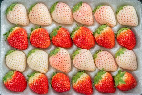 Korean strawberries
