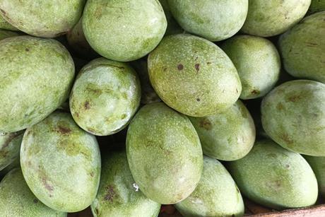 Mangoes Indonesia Adobe Stock_1073529354