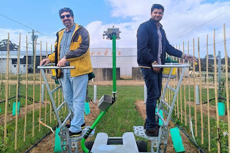 Dario Stefanelli Asad Ullah on the Berglady platform