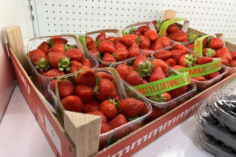 El Pinar strawberries