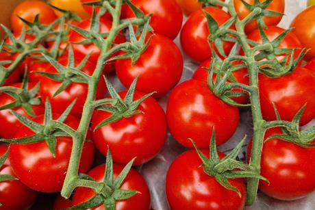 Tomaten