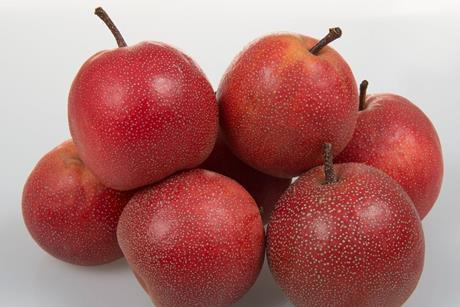 rote nashi plant food research