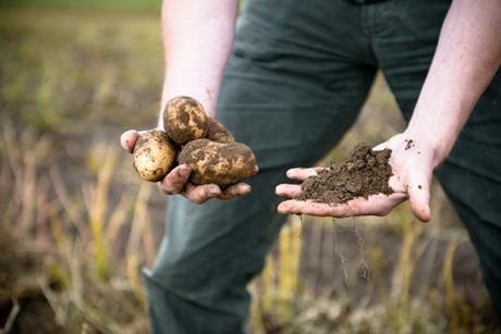 Greenvale has committed to ambitious emissions-reduction targets