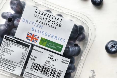 Hall Hunter blueberries