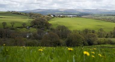 Organic land Soil Association
