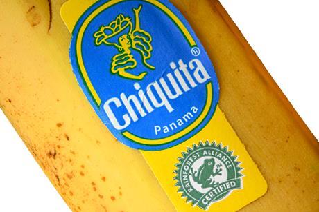 PA Chiquita banana dreamstime_xxl_220922309