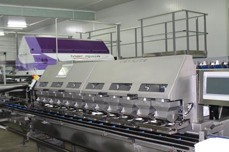 Maf Roda sorter