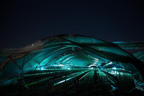 Thorvald carries out UV-C treatment at night