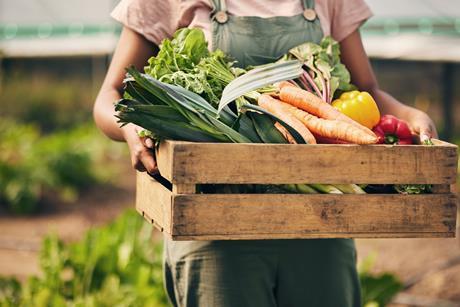 Public concern persists, a year on from the launch of the government’s food strategy