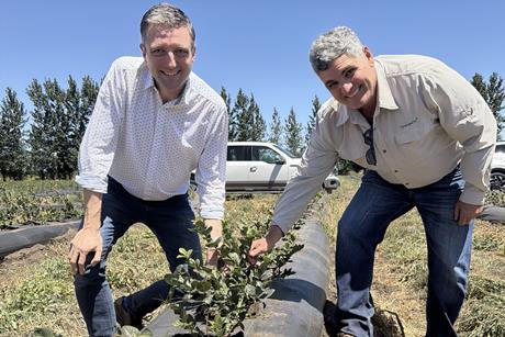 Jamie Petchell GPG Rolando Garcia SynergiaBIO blueberries Chile