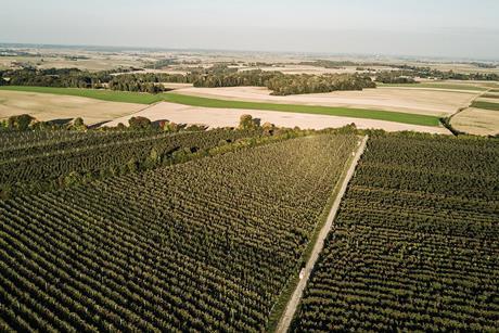 Gruppa Organic Poland apple production landscape