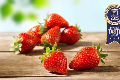NL Inspire strawberries The Greenery Superior Taste Award