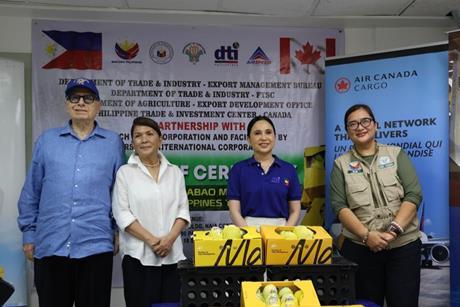 The first shipment of Philippine Carabao mangoes bound for Canada