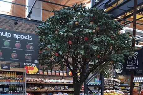 Jumbo apples pears tree