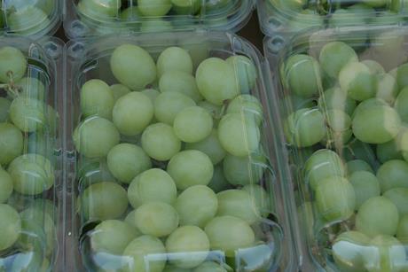 uvas trauben daphne schmidt