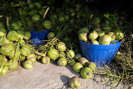 Thai coconuts