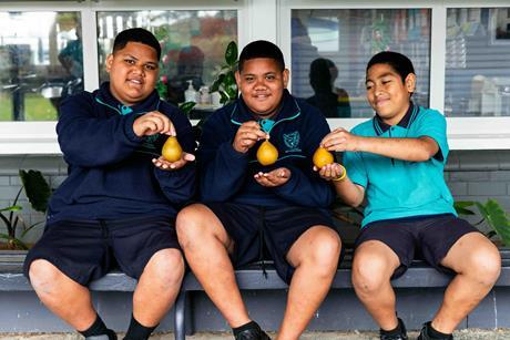 Fruit in Schools boys with pears  5+ A Day Charitable Trust