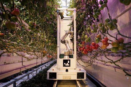 Eternal.ag Harvester robot tomatoes