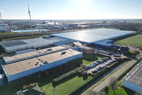 Hazera Made facility Netherlands tomatoes