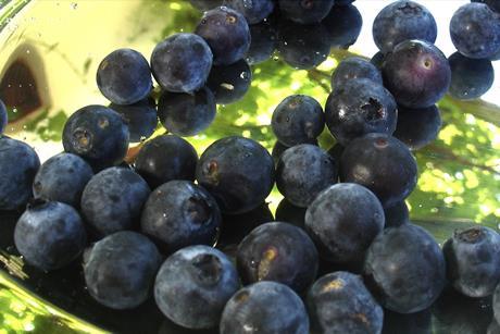 South African blueberries on plate