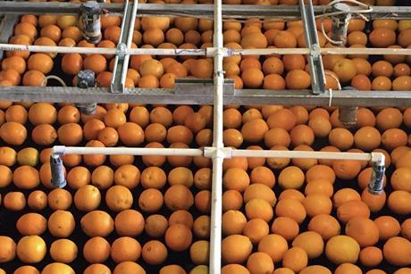 Akorn Technology citrus line