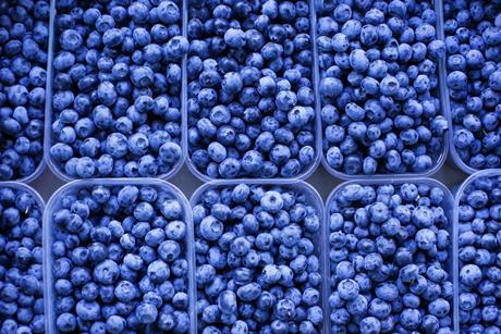 Blueberries in plastic containers top down view Adobe Stock