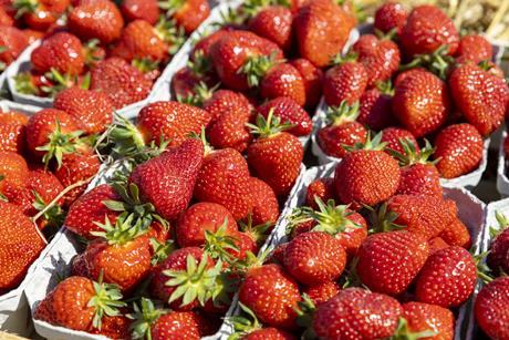 Erdbeeren (VSSE, 2022, Jürgen Rösner)