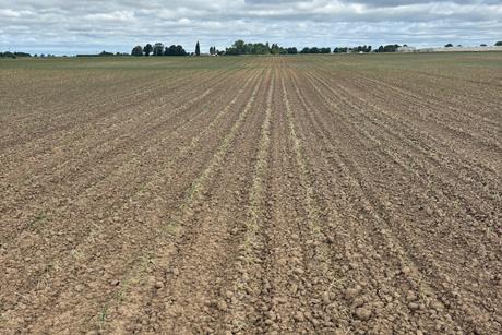 Drought in AH Worth field