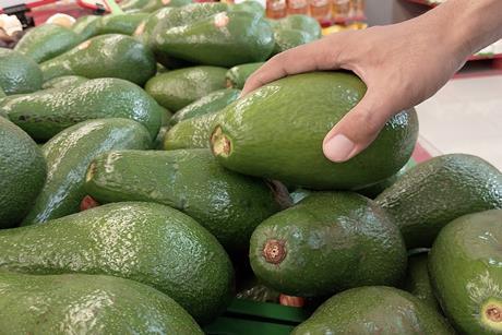 Picking avocado up in supermarket