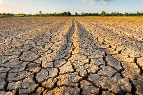 Drought