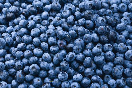 Blueberries Adobe Stock