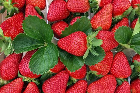 Flavia strawberries