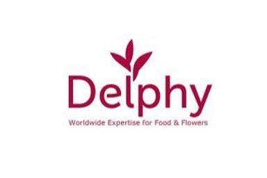 Logo Delphy