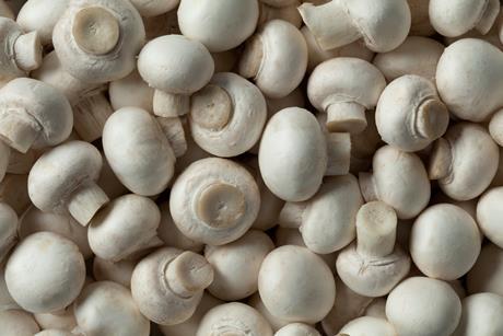 Walsh Mushrooms is one of the UK’s largest suppliers of fresh mushrooms