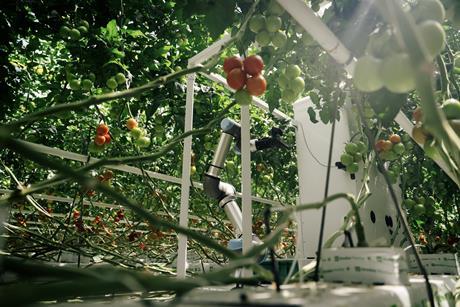 Rijk Zwaan Eternal.ag Harvester robot tomatoes