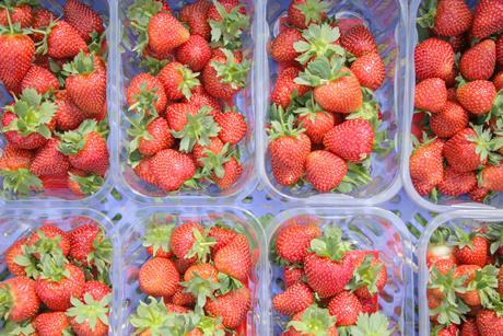 The strawberries will be in stores before Easter