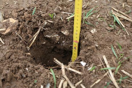 No usable information was gathered that might contribute to the picture of the state of the country’s soils
