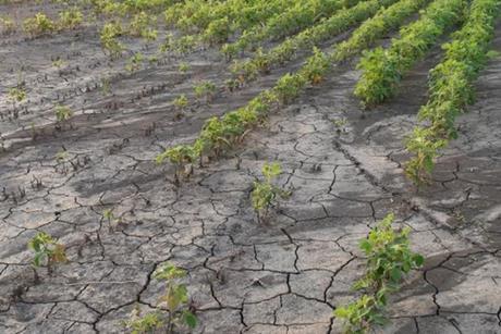 The NFU urged ministers to fast-track water investment and planning reform