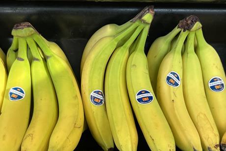 SCB Premium Compagnie Fruitiere bananas