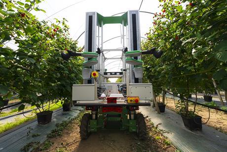 Fieldwork Robotics is a pioneer in fresh produce automation