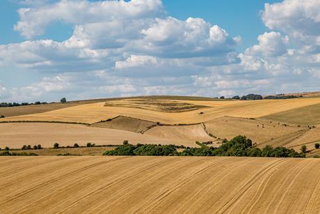 Parts of the UK are facing a second consecutive year of drought