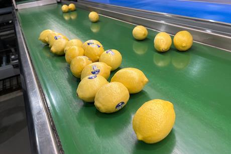 NPG Lemons compostable stickers 4