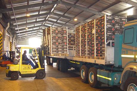Fruit off-loaded in port of Durban
