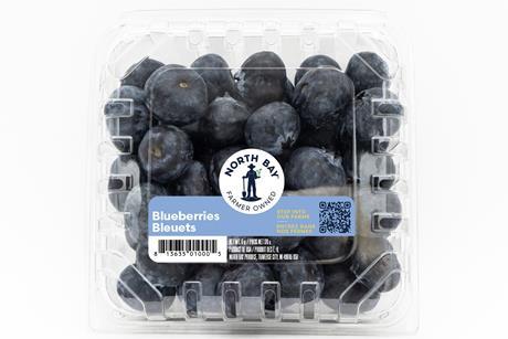 North Bay Produce new logo branding blueberries 2026